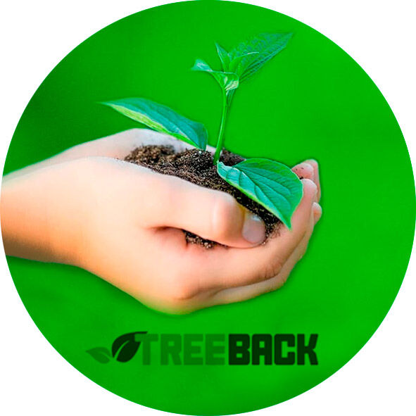 TreeBack Project